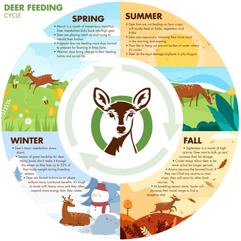 Deer Feeding Chart By Zip Code at Catherine Trowbridge blog