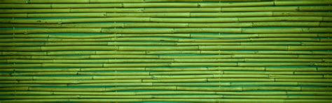 Download wallpaper green, wood, pattern, bamboo, section textures in ...