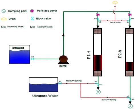 Enhancement of Trihalomethane Adsorption Capacity Using Chitosan ...