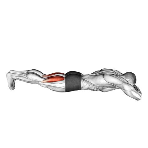 Pre-ACL Surgery: 5 Best Exercises (with Pictures!) - Inspire US