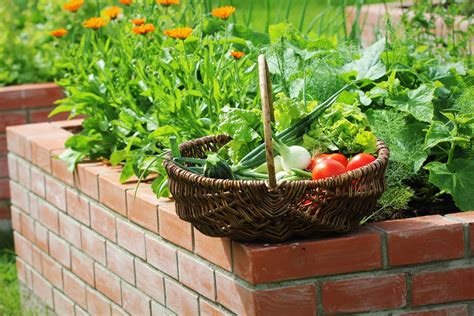 Raised Garden Bed Ideas Brick at Peggy Bradley blog