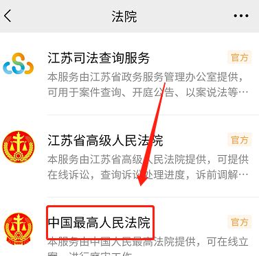 执行动态|中国执行信息公开网“案件查询”流程_澎湃号·政务_澎湃新闻-The Paper