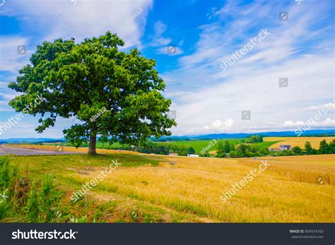 38 7 Stars Cigarette Images, Stock Photos & Vectors | Shutterstock