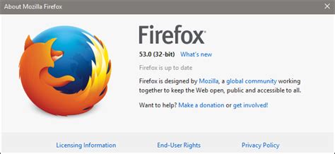 Firefox (火狐) for Mac 45.0 中文版下载 – 开发者必备的浏览器 | 玩转苹果