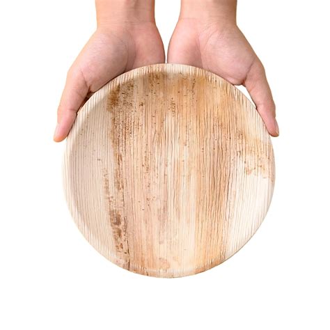 Buy URBAN GLOBAL TASTE Disposable Areca Palm Shallow Round Plates ...
