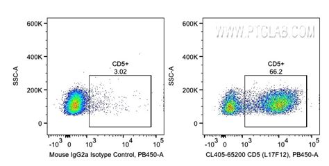 CD5 antibody (CL405-65200) | Proteintech