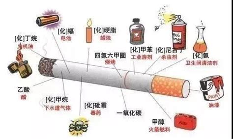 2022年，国际烟草行业一路荆棘一路前行_国际视野 _烟草在线—吸烟有害健康！
