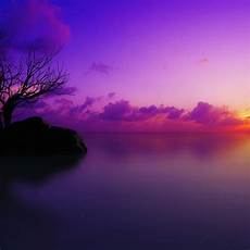 Home Screen Wallpaper That Says by Post Your Homescreen Wallpapers That Look Best On Passport Home Screen Wallpaper That Says
