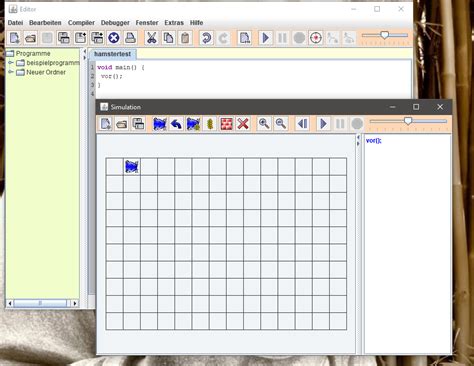 Java Hamster Simulator 的图像结果