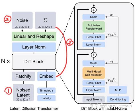 Diffusion Transformer 的图像结果