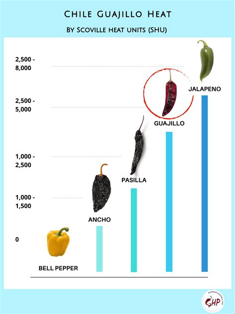 Chile Guajillo: All About This Dried Mexican Pepper + 7 Guajillo ...