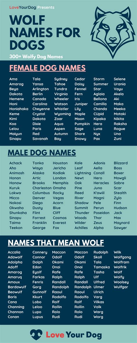 Wolf name – Artofit