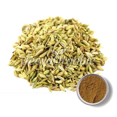 USDA Approved Bulk Organic Fennel Seed Extract Powder Supplier
