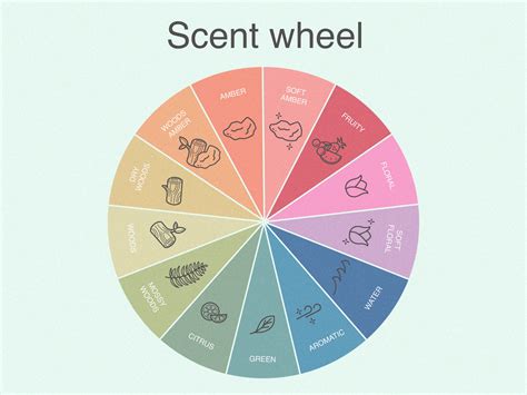 Types of Scents: Fragrance Families & Strengths, Explained