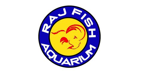Demo in chennai – RAJ FISH AQUARIUM