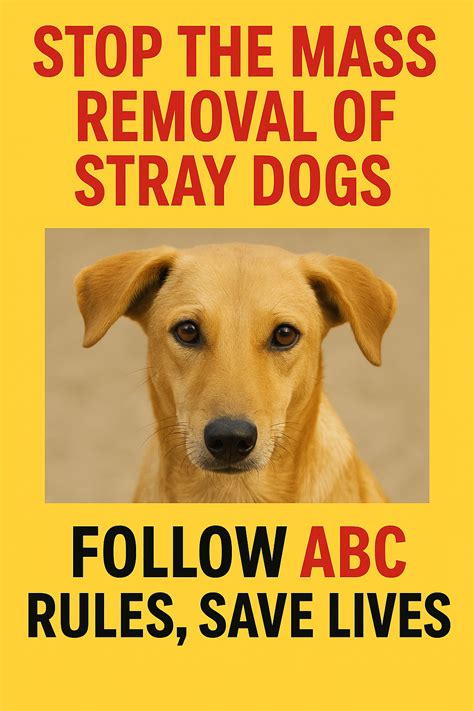 Petition · Stop the Mass Removal of Stray Dogs — Follow ABC Rules, Save ...