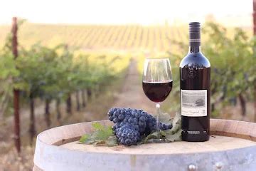 The Quest for Luxury: India's Most Expensive Wines | magicpin blog