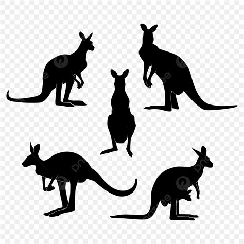 Kangaroo Silhouette