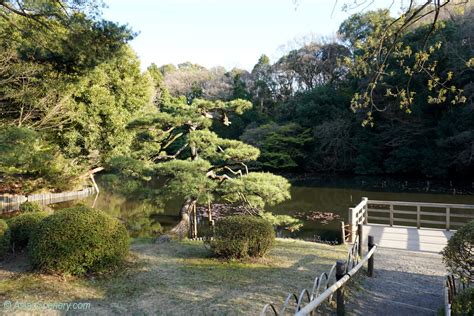 Asia Scenery 的图像结果