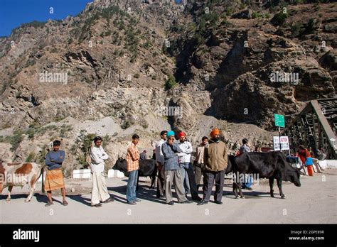 Local Mountain People India 的图像结果