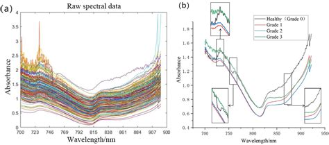 Non-Destructive Detection of Pomegranate Blackheart Disease via Near ...