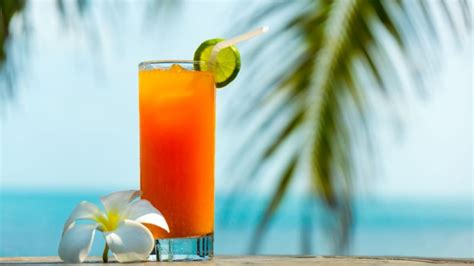 Caribou Lou: A Song-Inspired Tropical Cocktail - Advanced Mixology