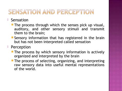 Perception 的图像结果