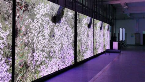 Shop Display Digital Screen 的图像结果