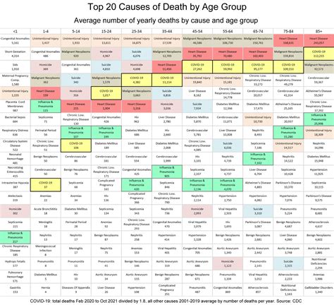 Top 20 causes of death, by age group, average deaths per year, US [OC ...