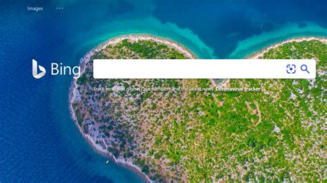 微软bing 的图像结果