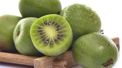 软枣猕猴桃如何种植，怎样养软枣猕猴桃长得快|admin_人人点