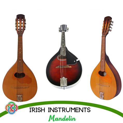 Celtic Instruments And Labels