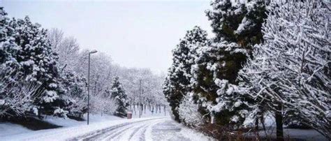 北京迎2020首场降雪[组图] _ 图片中国_中国网