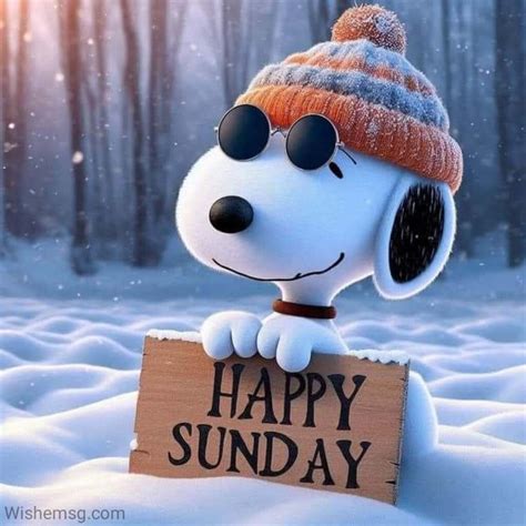 200+ Happy Sunday Wishes Quotes Images 2024 - Wishemsg.Com