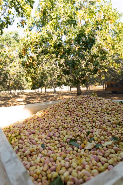 Meet the Keenans | Keenan Farms