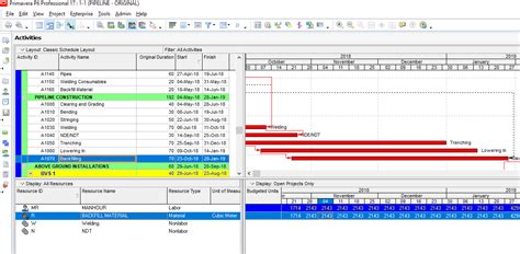 Image result for Resource Loading P6