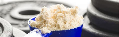 Whey Powder Processing Solutions | SCHNEL Enginering Pvt. Ltd.