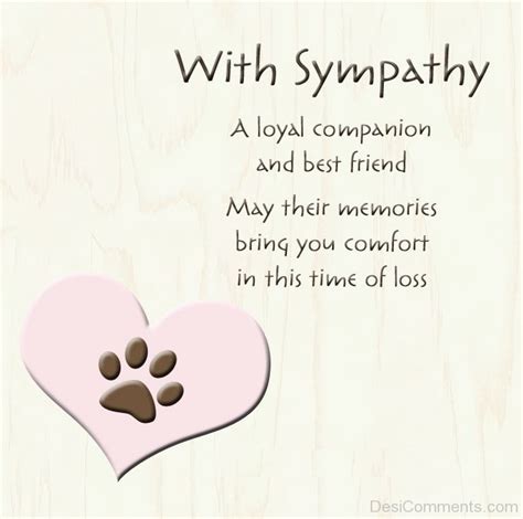 The Ultimate Guide to the Black Lab: Your Loyal Companion