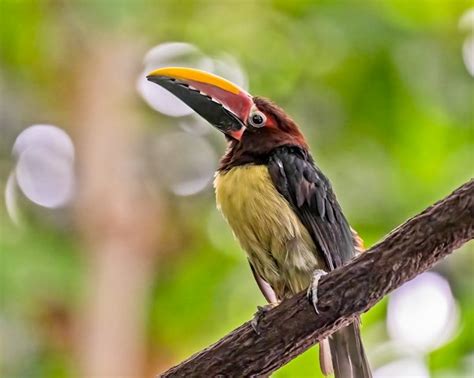 Image result for Washington DC