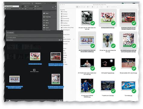 Image result for InDesign Library