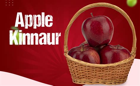 Fresh Apple Kinnaur, 4 Pieces (600gm-800gm) : Amazon.in: Grocery ...