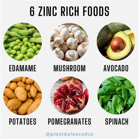 Zinc-rich food you can easily incorporate into recipes. 🏆 Adjustments Without Judgement™️ Follow ...