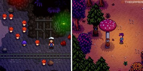 How To Find All Mushrooms In Stardew Valley
