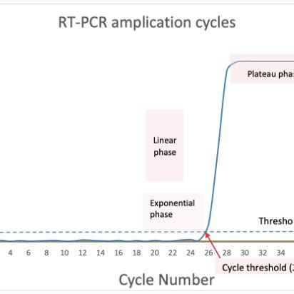 Image result for Two-Step RT-PCR Run