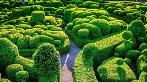 Enchanted Park Maze HD Wallpaper: A Green Labyrinth of Nature and ...