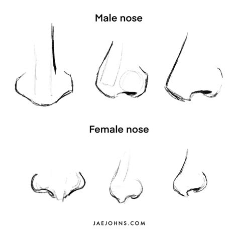 How to Draw a Face like a Pro Step by Step