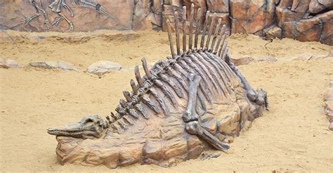 Interview Kids 的图像结果