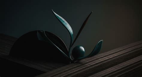 Environmental Constraints → Fundamentals