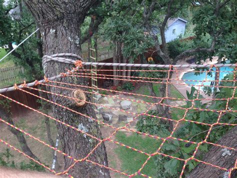 Image result for How to Bilde a Tree Nete