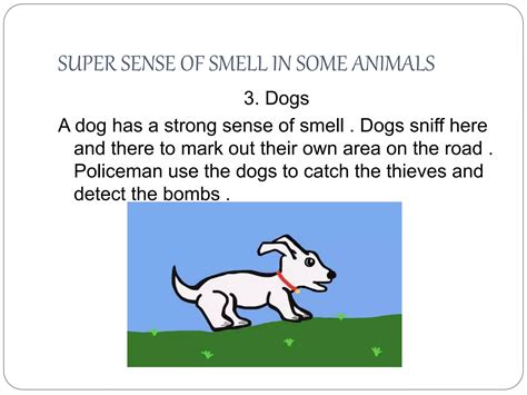 Class 5th Science Chapter Super Sense 的图像结果